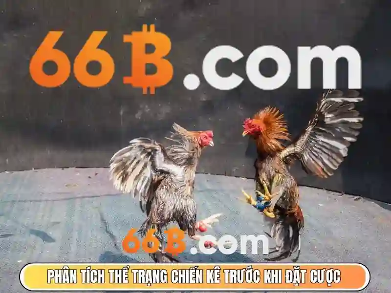 💎cước câu cá ion💎 💎cước câu cá ion💎