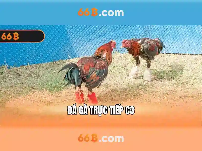 💎nhà cai uy tin gntc💎 💎nhà cai uy tin gntc💎