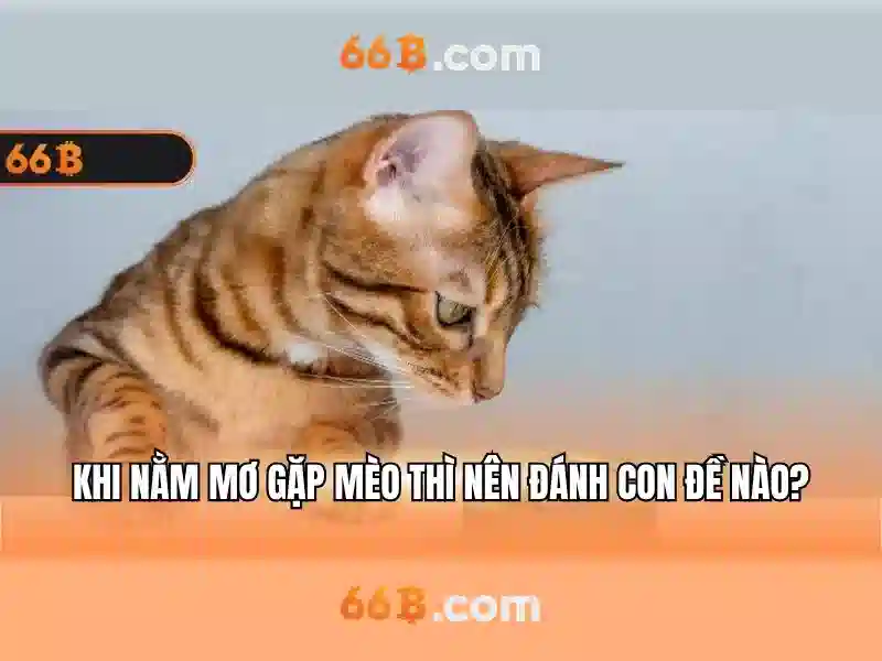 💎tỷ lệ cá cược bỉ maroc💎 💎tỷ lệ cá cược bỉ maroc💎