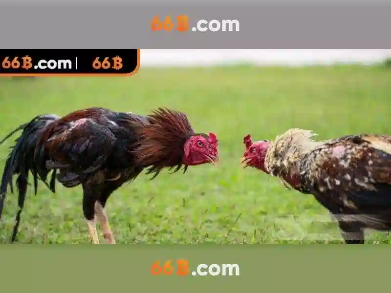 💎raja slots live 2020💎 💎raja slots live 2020💎