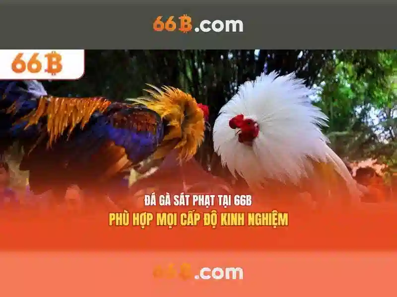 💎casino slots games free download💎 💎casino slots games free download💎