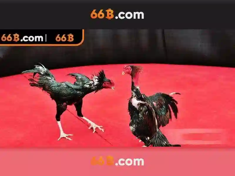 💎xem trưc tiếp bóng đá kèo nhà cái💎 💎xem trưc tiếp bóng đá kèo nhà cái💎