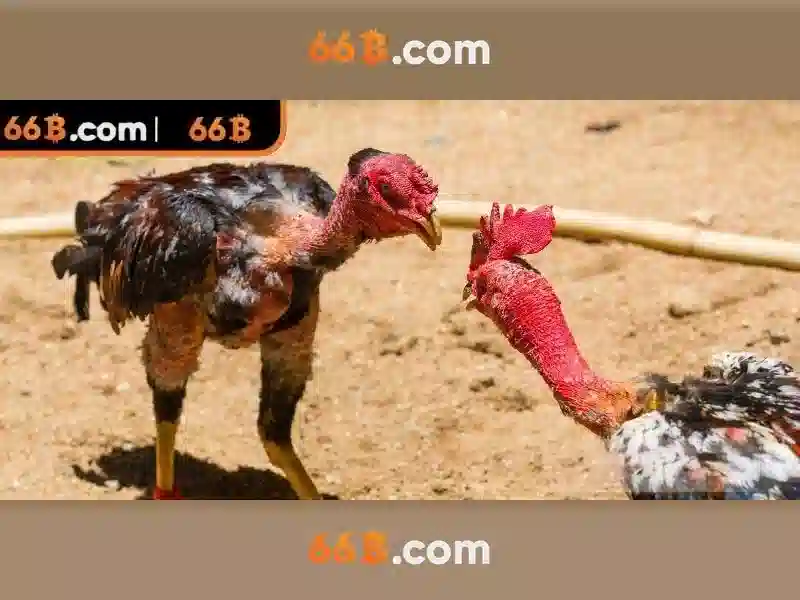 💎bridesmaids slots💎 💎bridesmaids slots💎