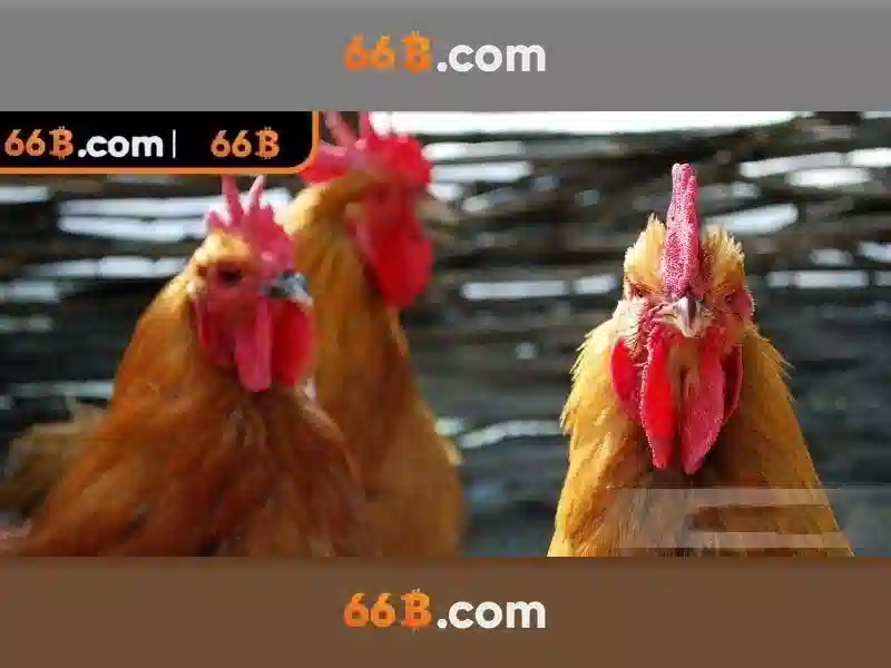 💎đánh lái về hướng bắc tây bắc chap 1💎 💎đánh lái về hướng bắc tây bắc chap 1💎