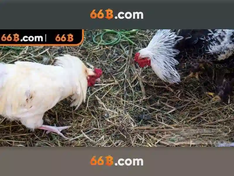 💎nms max ship slots💎 💎nms max ship slots💎