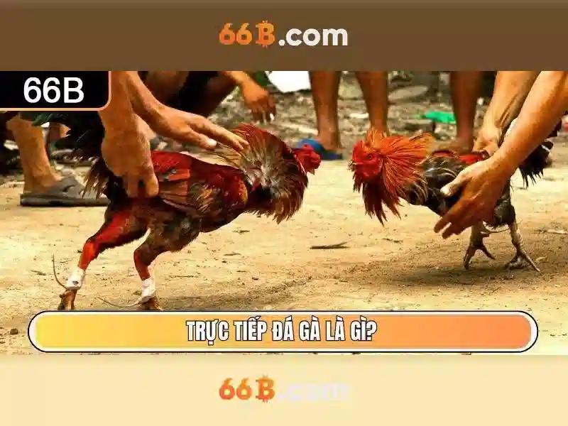 💎cả cuộc đời dành tặng em💎 💎cả cuộc đời dành tặng em💎