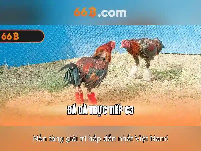 💎siêu âm thai bác sĩ trần danh cường💎 💎siêu âm thai bác sĩ trần danh cường💎