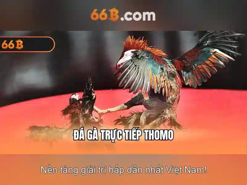 💎cazombie slot💎 💎cazombie slot💎